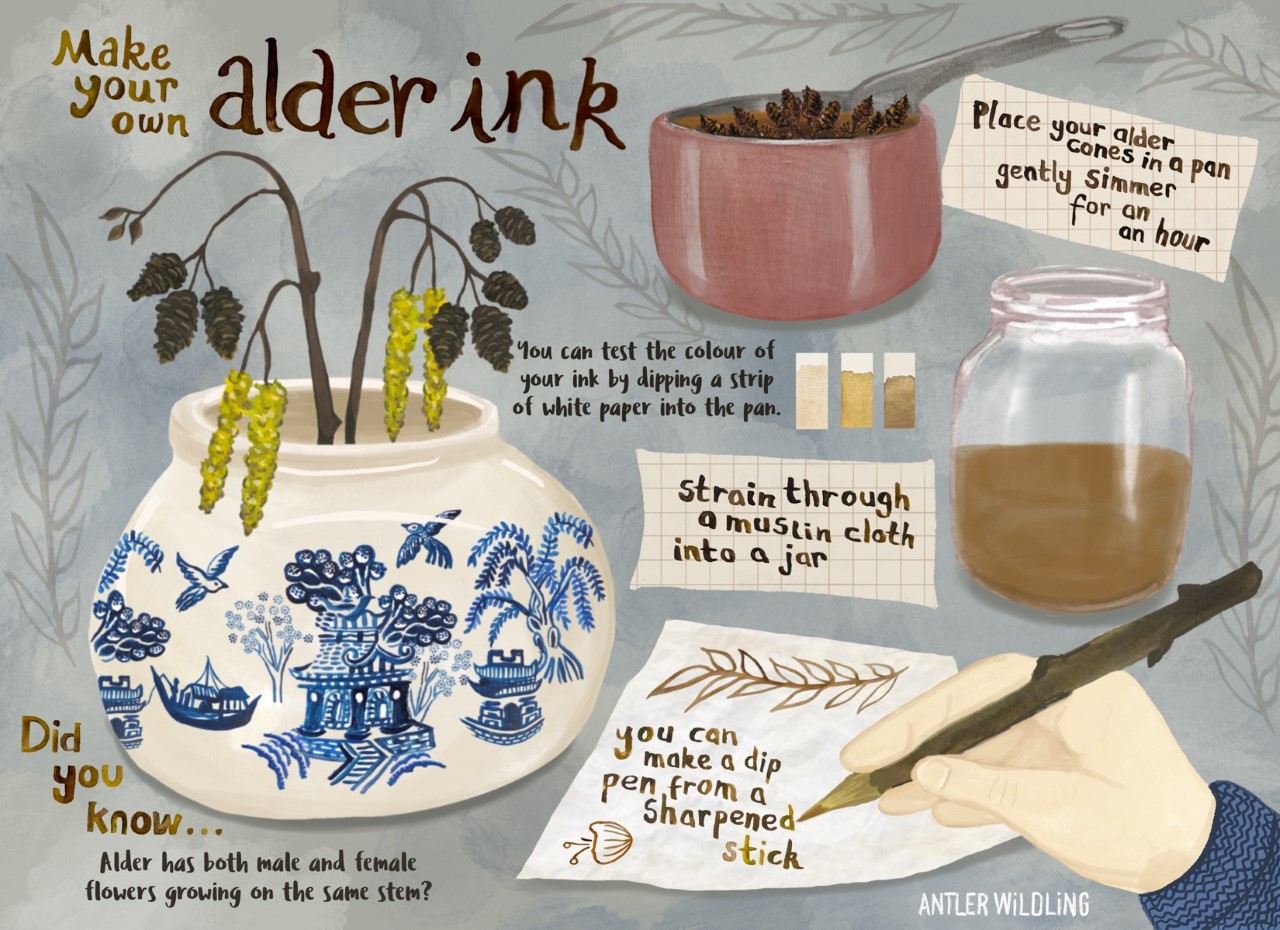 ANTLER WILDLING BC23MARCH