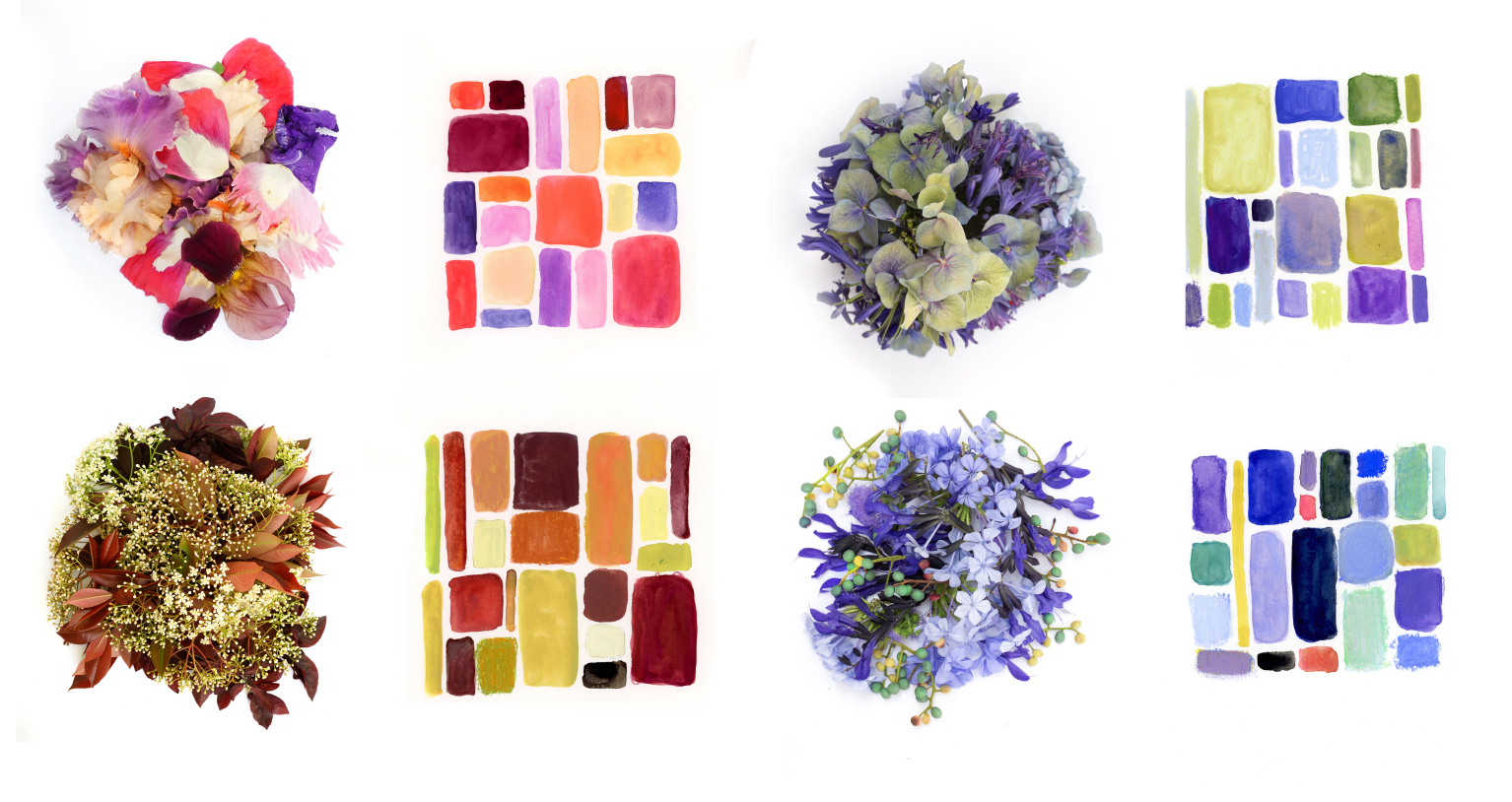 Ana Bianchi palette montage Ana Bianchi palette montage