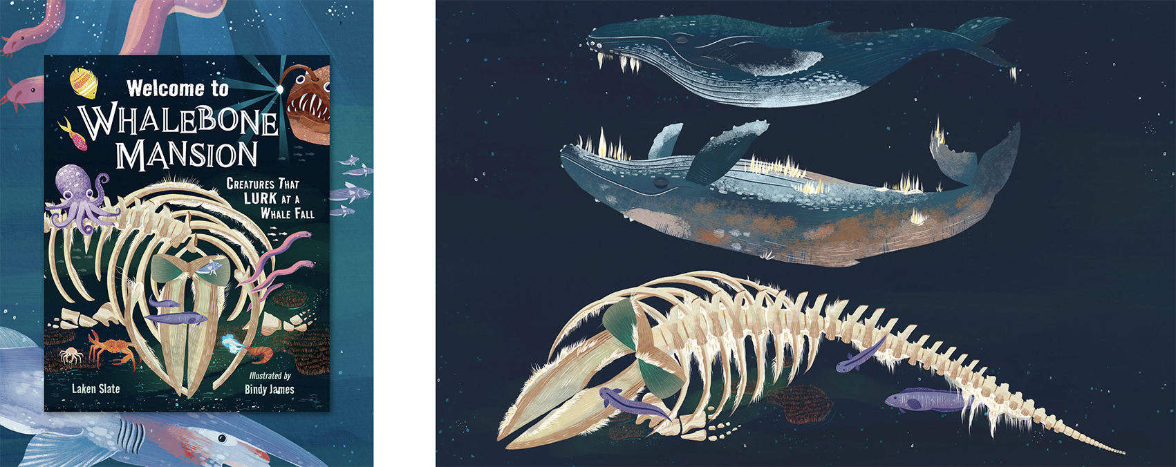 Bindy James whalebone