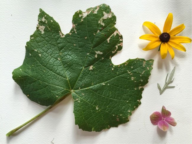 Composition1 Make Art That Sells FREE class on composition for illustrators from top art agent Lilla Rogers!