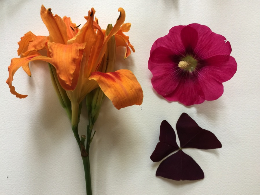 Composition2 Composition2
