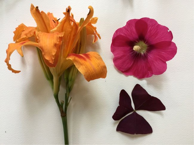 Composition2 Make Art That Sells FREE class on composition for illustrators from top art agent Lilla Rogers!