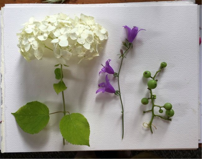 Composition3 Make Art That Sells FREE class on composition for illustrators from top art agent Lilla Rogers!