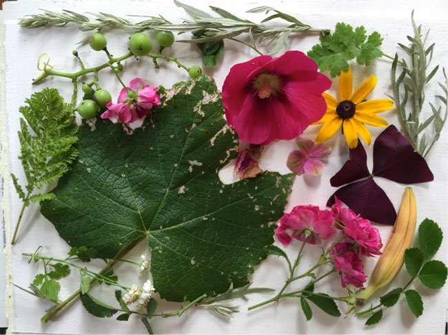 Composition4 Make Art That Sells FREE class on composition for illustrators from top art agent Lilla Rogers!