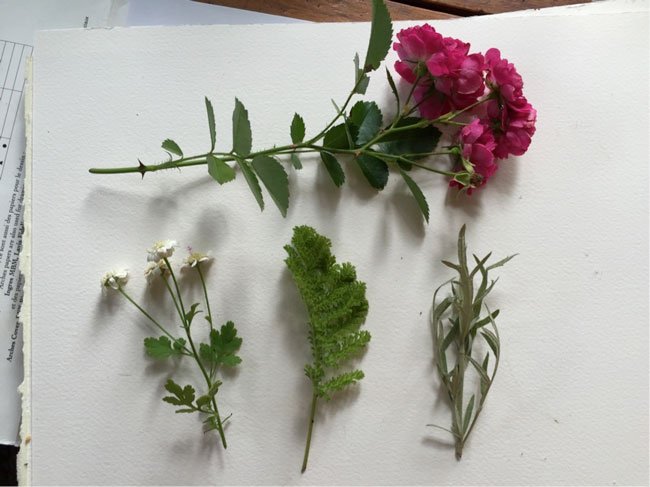 Composition6 Make Art That Sells FREE class on composition for illustrators from top art agent Lilla Rogers!