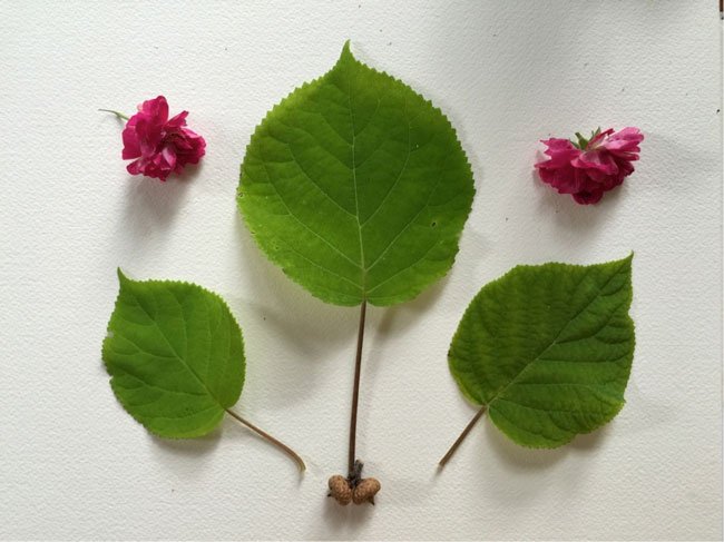 Composition7 Make Art That Sells FREE class on composition for illustrators from top art agent Lilla Rogers!