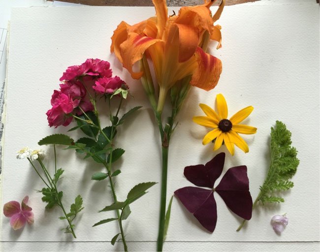 Composition8 Make Art That Sells FREE class on composition for illustrators from top art agent Lilla Rogers!