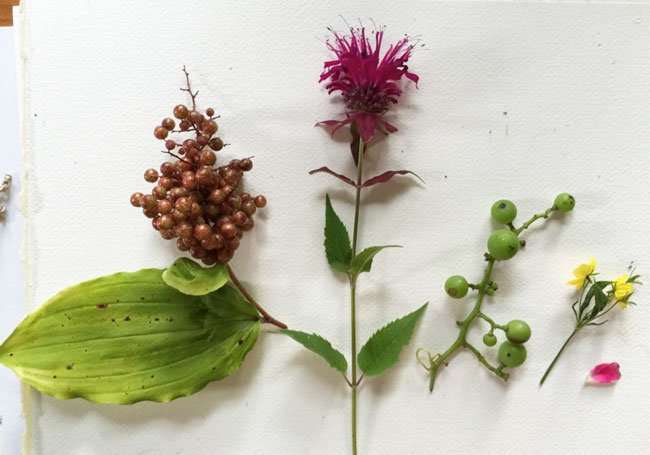 Composition9 Make Art That Sells FREE class on composition for illustrators from top art agent Lilla Rogers!