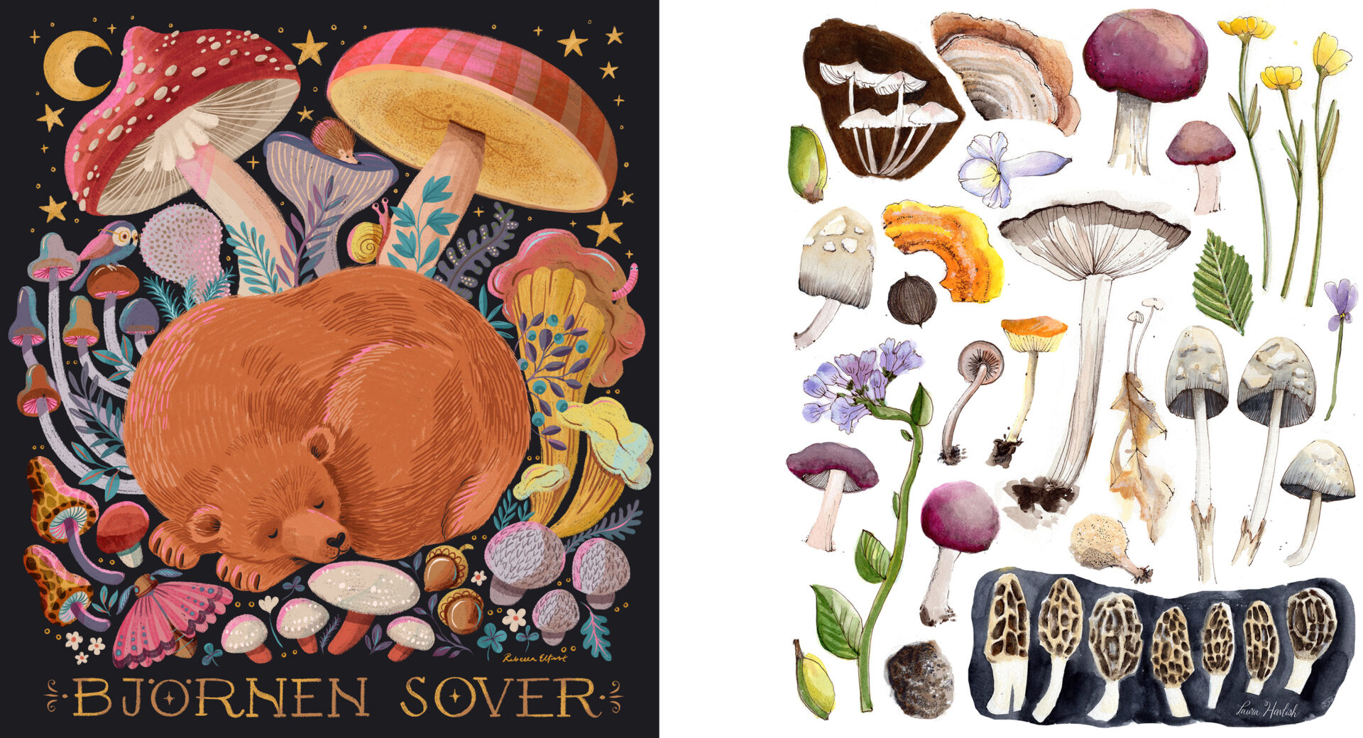 Dark mushrooms light mushrooms