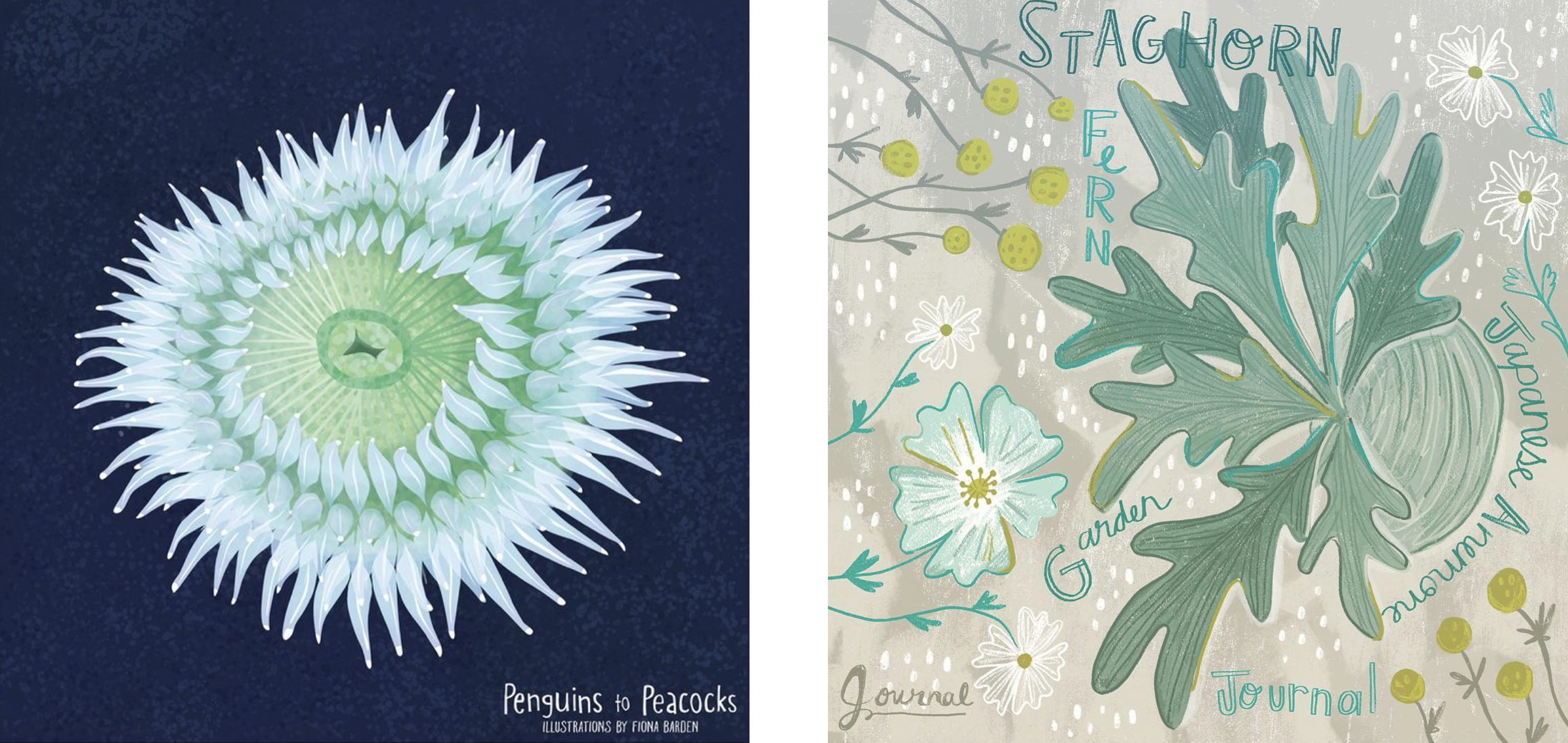 Fiona Barden Amanda Rowe