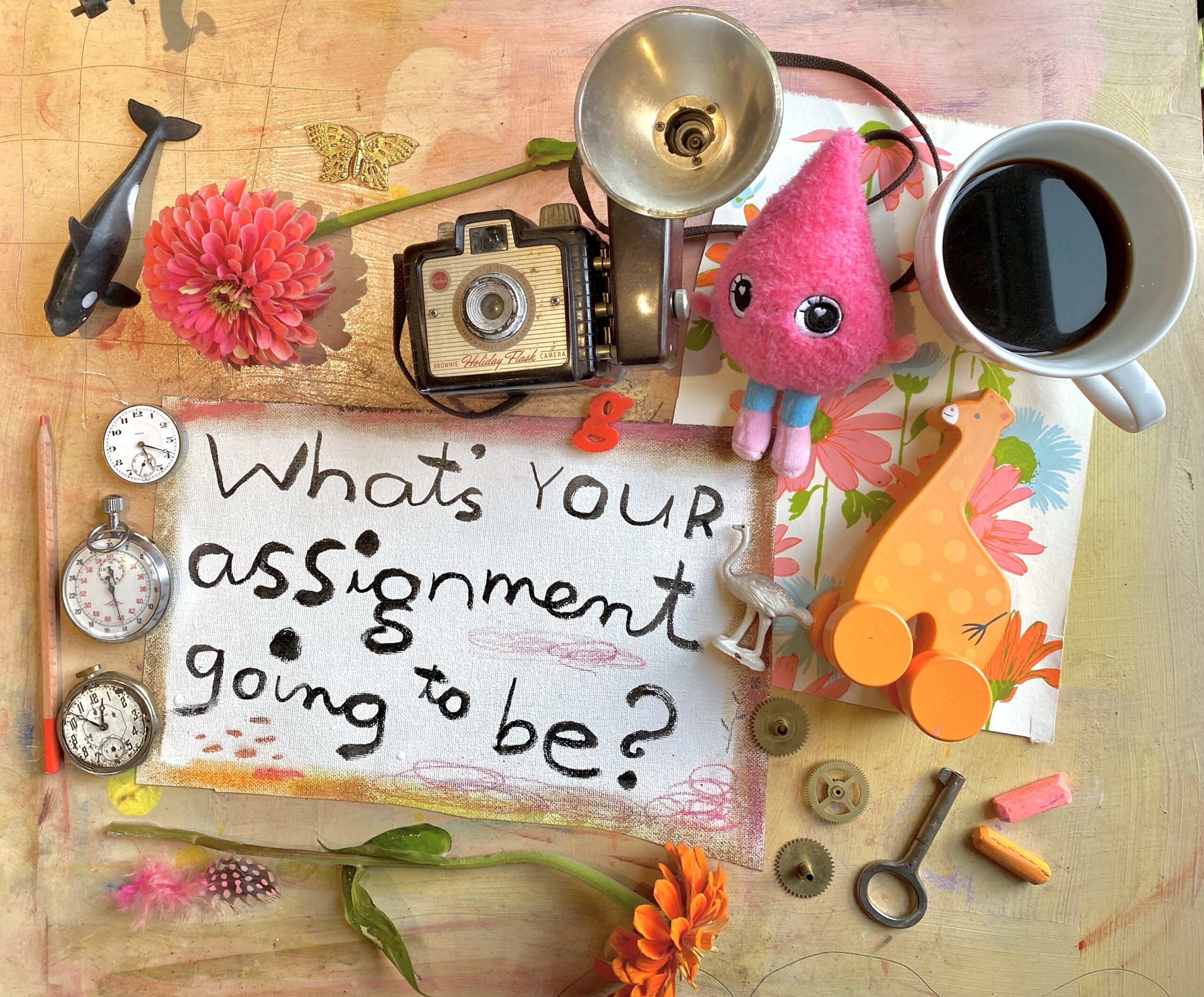 Character Bootcamp what is your assignment going to be Character Bootcamp what is your assignment going to be