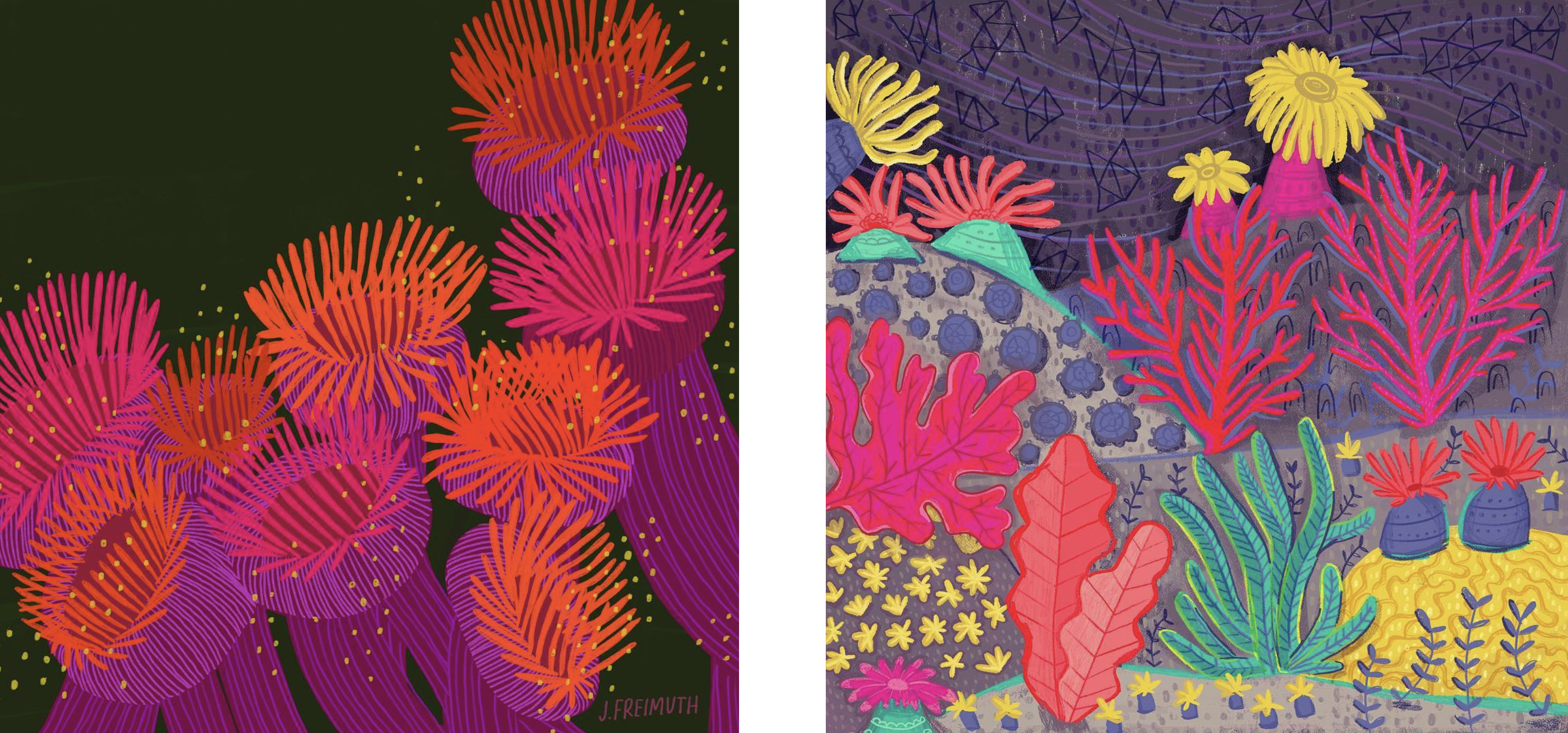 Jenna Freimuth Amanda Rowe