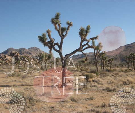 See artist Linda Ketelhut's sketchbook from Joshua Tree 1 A page from Linda Ketelhut's photo diary from Joshua Tree