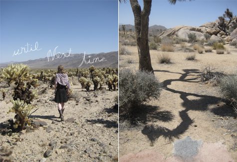 A page from Linda Ketelhut's photo diary from Joshua Tree
