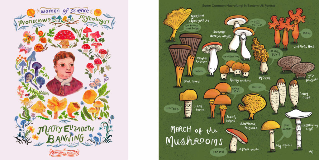 Mushrooms