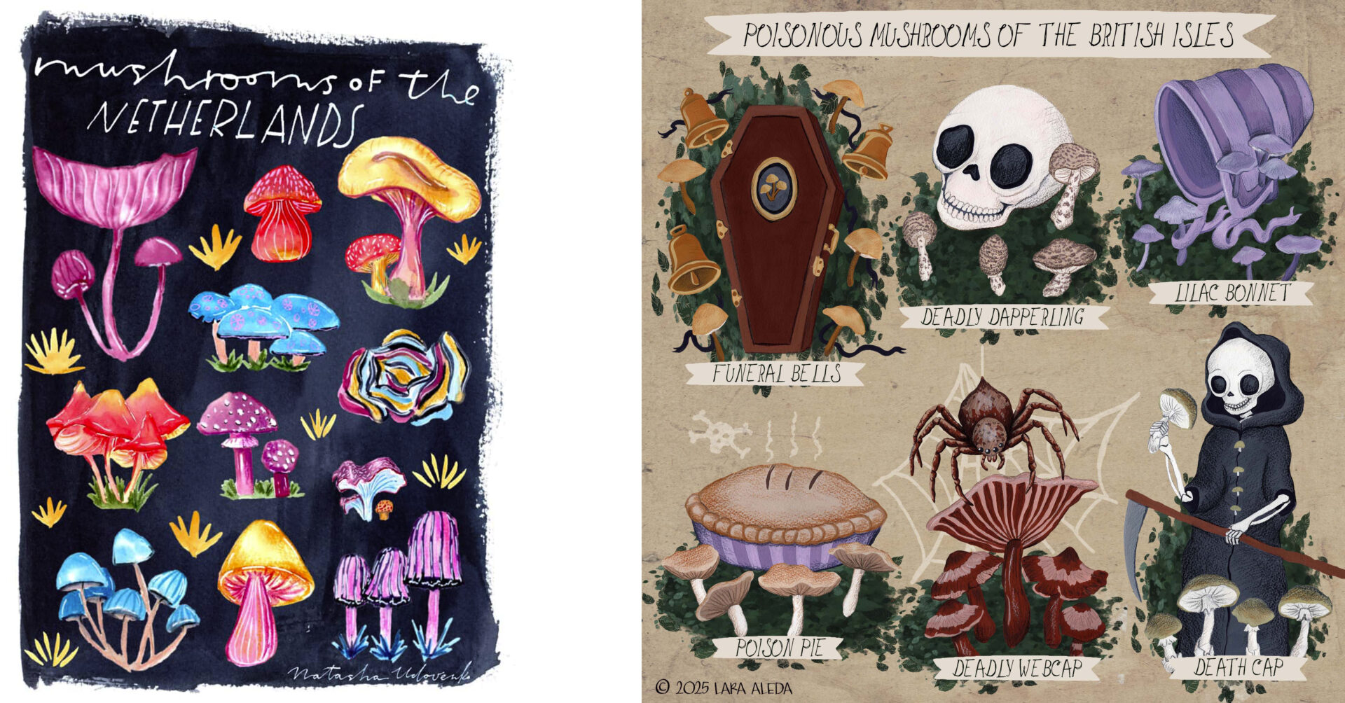 Mushrooms of the world