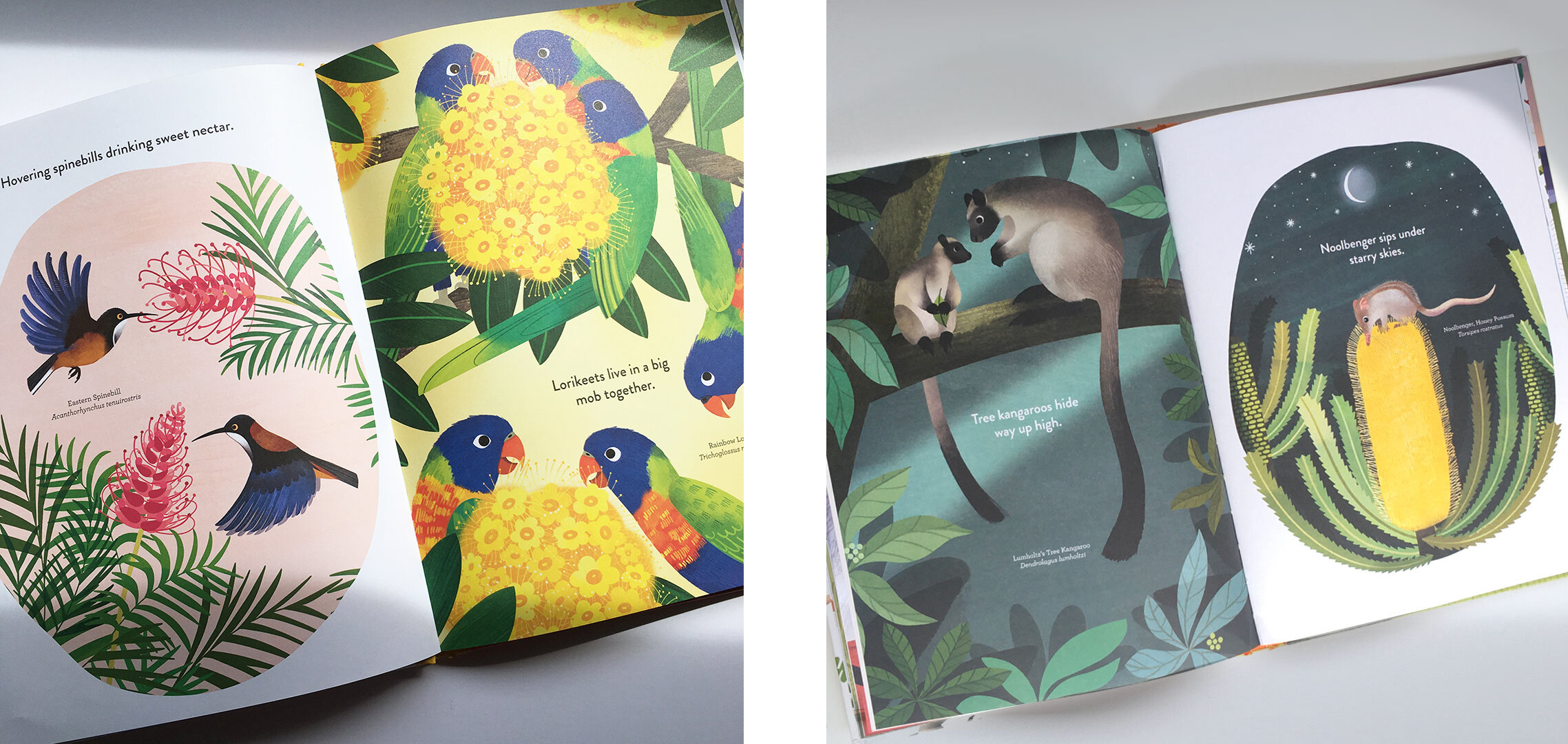 Sarah Allen book interior Sarah Allen book interior