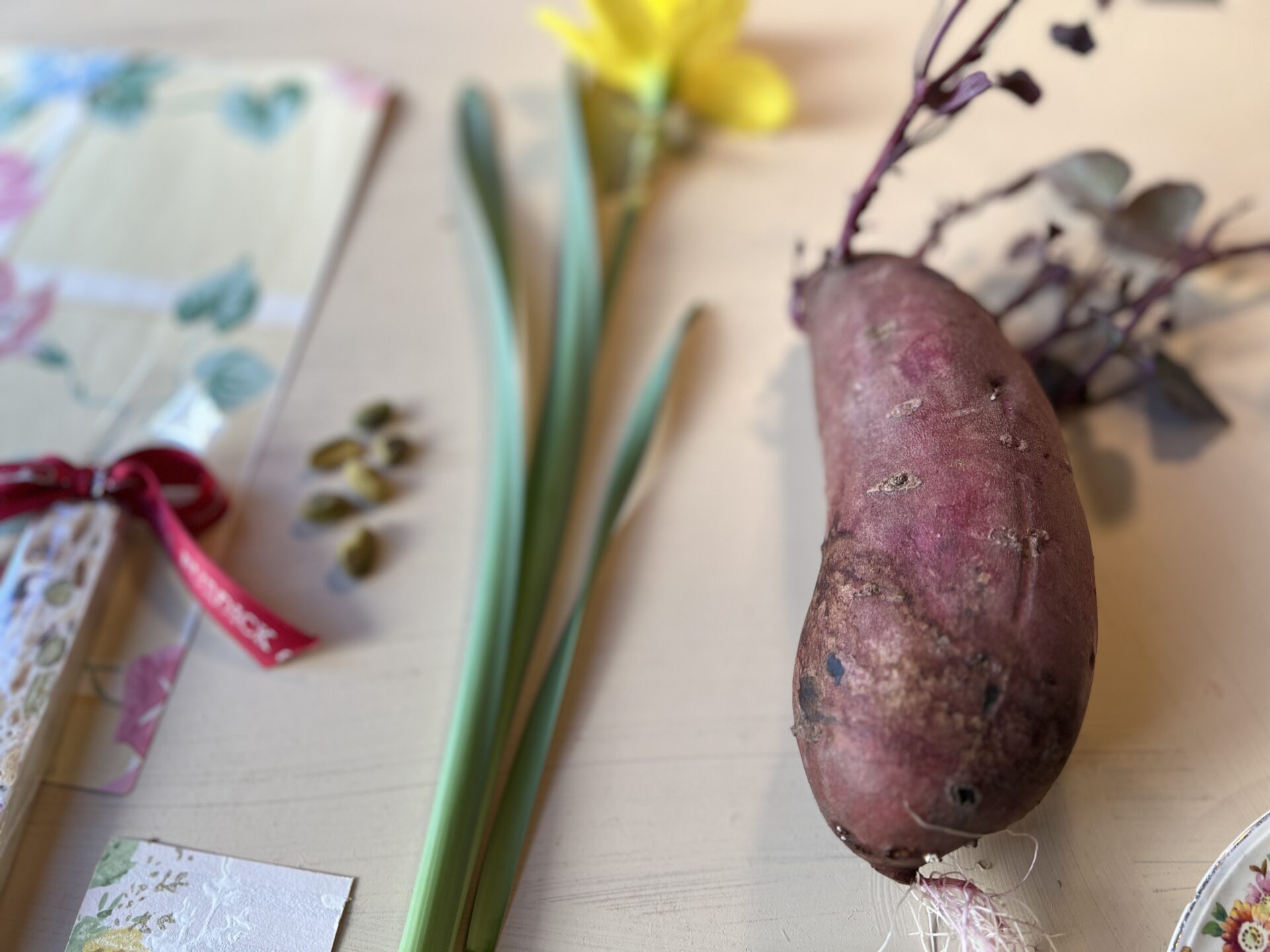 Sneak peek trend 2 2025