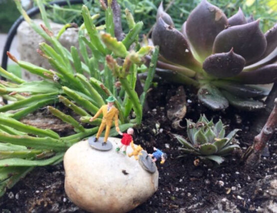 Tinypeopleinplants Make Art That Sells Day 3: Art agent Lilla Rogers teaches you a cool trick to find the magic in your environment