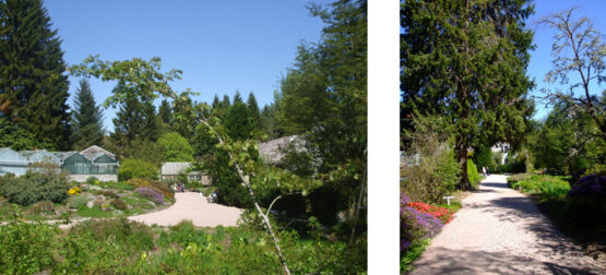 make a repeat floral pattern