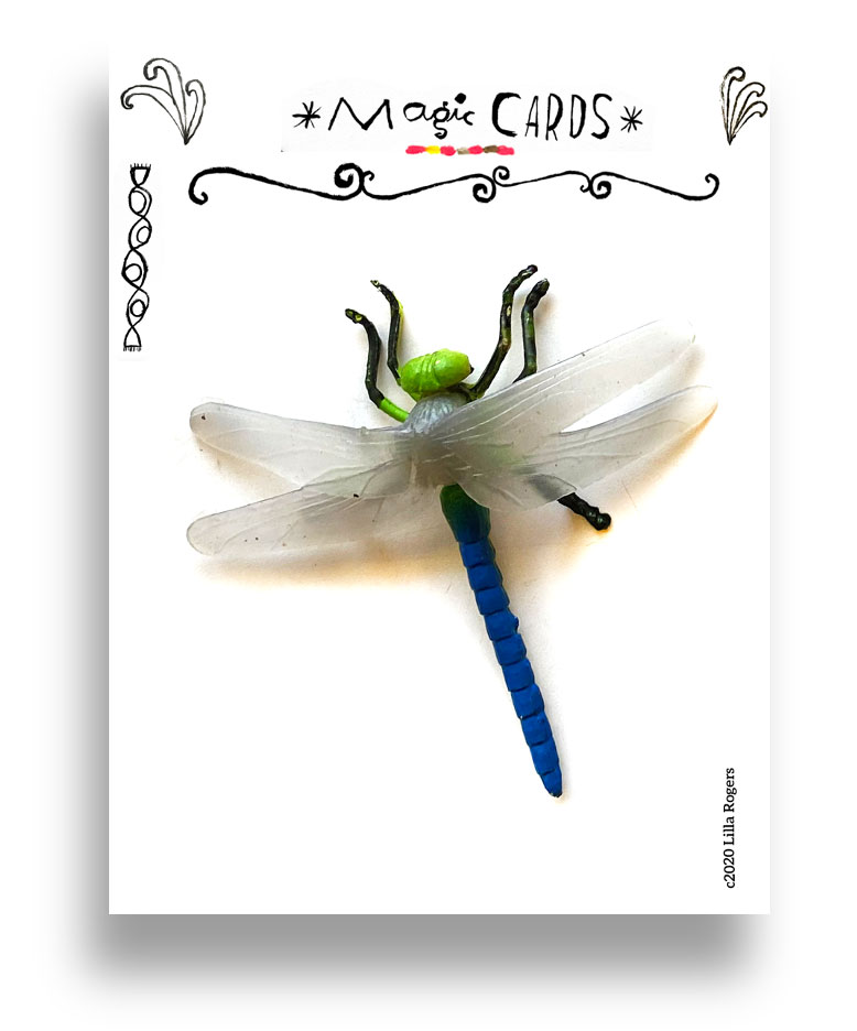 How to come up with a children's picture book idea: Part 3 2 children's picture book idea