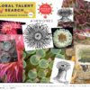 Your free 2018 GLOBAL TALENT SEARCH (GTS) PREP: DAY THREE! 5 sea anemones Make Art That Sells Your free 2018 GLOBAL TALENT SEARCH (GTS) PREP: DAY THREE!