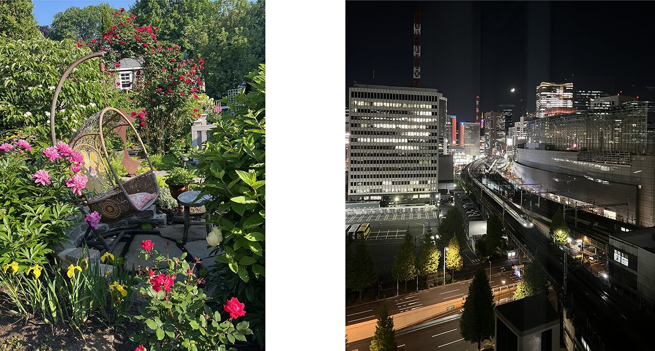 view from my window view from my window